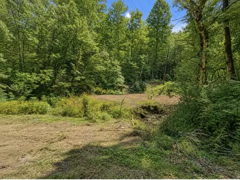 465 Halls Hollow Rd, Smithville, TN 37166