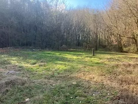 1619 Spruce Dr, Sevierville, TN 37876