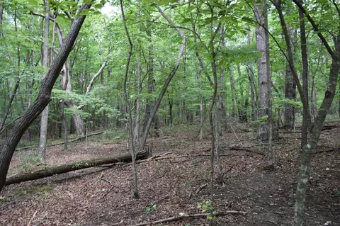0 Deep Woods Rd, Sewanee, TN 37375 photo 20