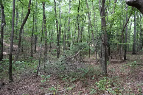 0 Deep Woods Rd, Sewanee, TN 37375 photo 22