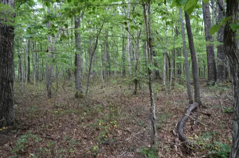 0 Deep Woods Rd, Sewanee, TN 37375 photo 19