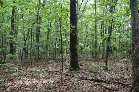 0 Deep Woods Rd, Sewanee, TN 37375 photo 14