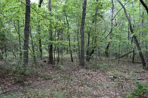 0 Deep Woods Rd, Sewanee, TN 37375 photo 18