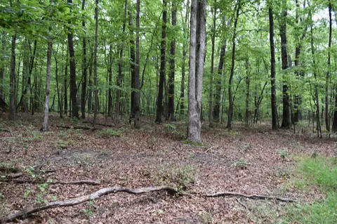 0 Deep Woods Rd, Sewanee, TN 37375 photo 8