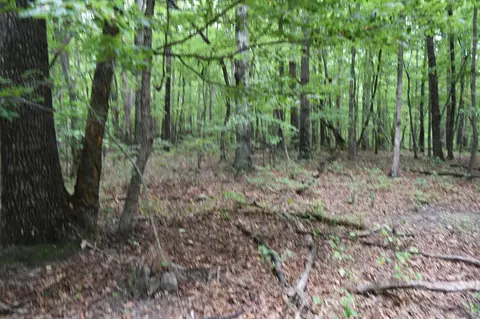 0 Deep Woods Rd, Sewanee, TN 37375 photo 10