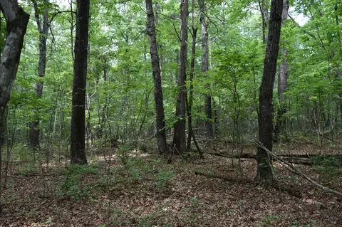 0 Deep Woods Rd, Sewanee, TN 37375 photo 12