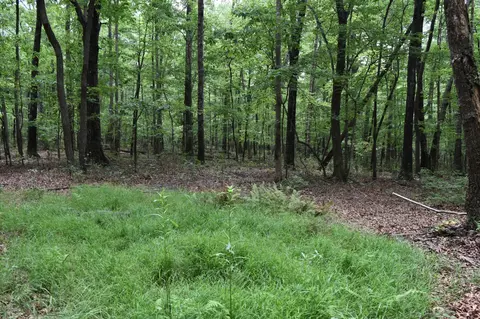 0 Deep Woods Rd, Sewanee, TN 37375 photo 9