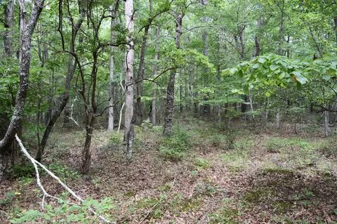 0 Deep Woods Rd, Sewanee, TN 37375 photo 16