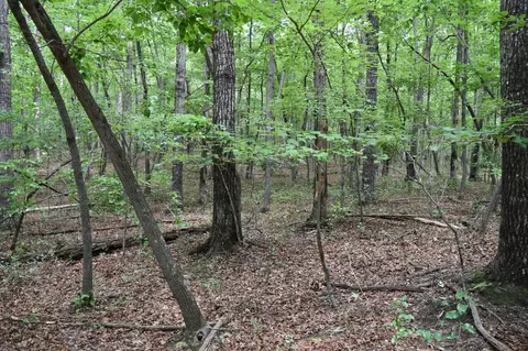 0 Deep Woods Rd, Sewanee, TN 37375 photo 11