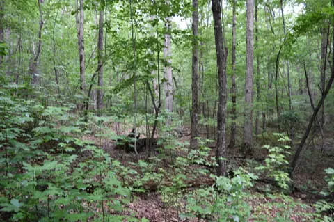 0 Deep Woods Rd, Sewanee, TN 37375 photo 7