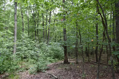 0 Deep Woods Rd, Sewanee, TN 37375 photo 24