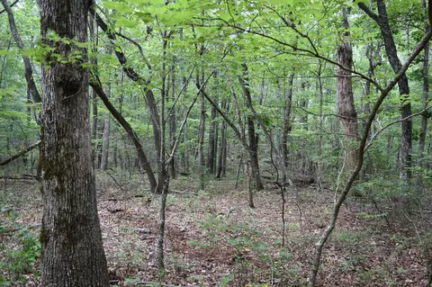 0 Deep Woods Rd, Sewanee, TN 37375 photo 17