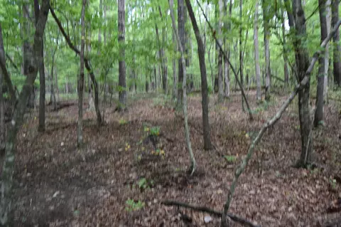0 Deep Woods Rd, Sewanee, TN 37375 photo 21