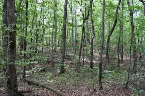 0 Deep Woods Rd, Sewanee, TN 37375 photo 23