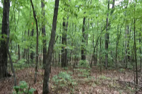 0 Deep Woods Rd, Sewanee, TN 37375 photo 15