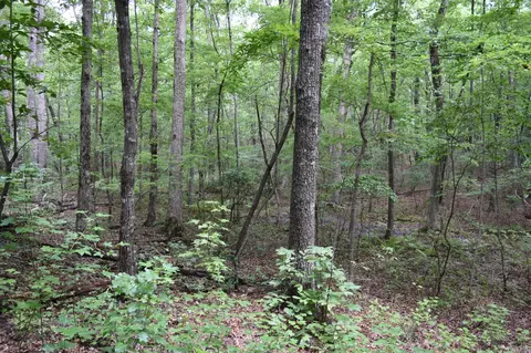 0 Deep Woods Rd, Sewanee, TN 37375 photo 6