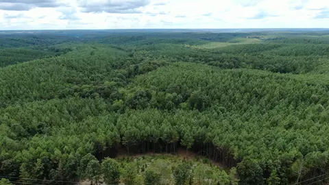 586 Seiber Ridge Rd, Hohenwald, TN 38462
