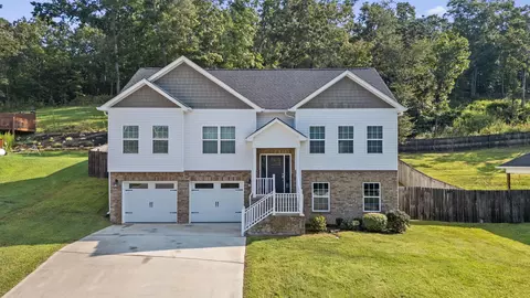 6517 Long Horn St, Birchwood, TN 37308