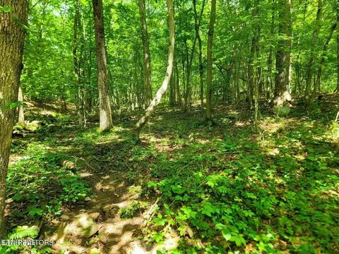 161 Sugarbush Cir, Crossville, TN 38558