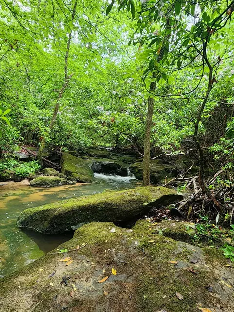 911 Spearhead Cir, Clarkrange, TN 38553 photo 3