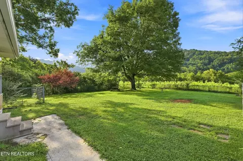 Exterior - 4317 Fulton Rd, Corryton, TN 37721 photo 8 of 13