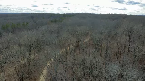 0 Daniel Rd, Waverly, TN 37185 photo 11