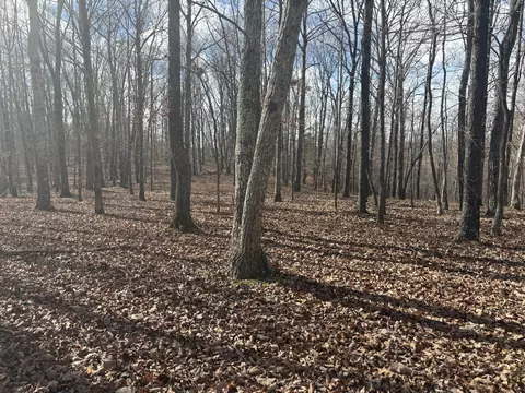 0 Daniel Rd, Waverly, TN 37185 photo 7