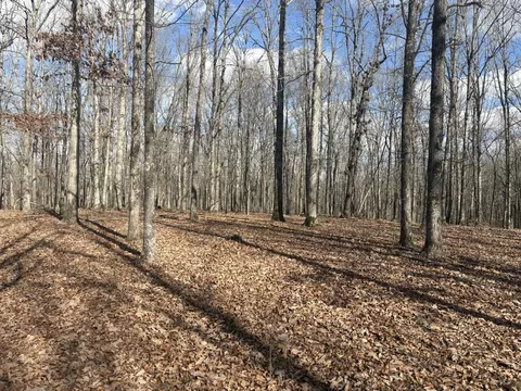 0 Daniel Rd, Waverly, TN 37185 photo 5