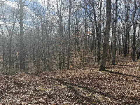 0 Daniel Rd, Waverly, TN 37185 photo 3