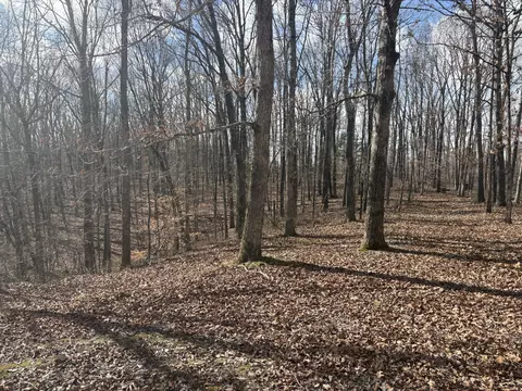 0 Daniel Rd, Waverly, TN 37185 photo 4