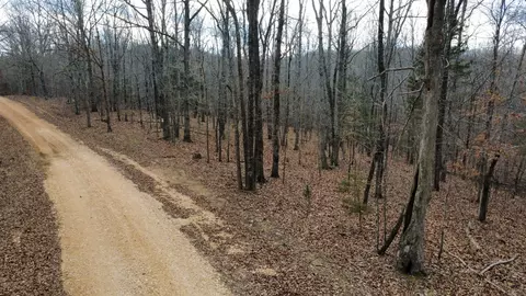 0 Daniel Rd, Waverly, TN 37185 photo 23