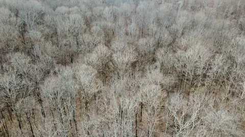 0 Daniel Rd, Waverly, TN 37185 photo 21