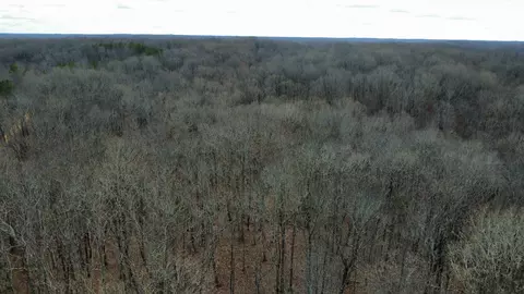 0 Daniel Rd, Waverly, TN 37185 photo 20
