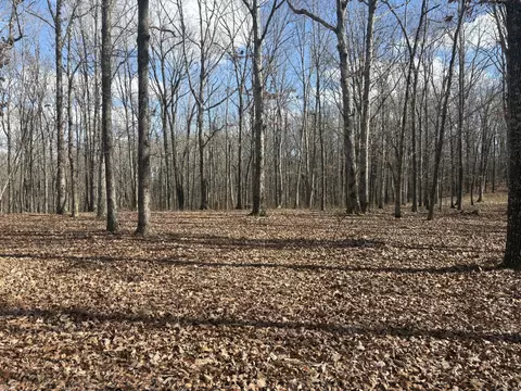 0 Daniel Rd, Waverly, TN 37185 photo 8
