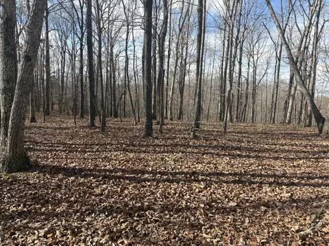 0 Daniel Rd, Waverly, TN 37185 photo 6