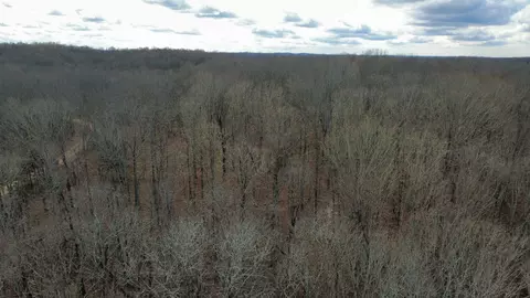 0 Daniel Rd, Waverly, TN 37185 photo 12