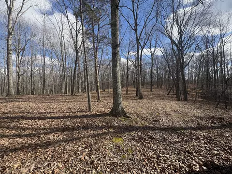 0 Daniel Rd, Waverly, TN 37185 photo 2