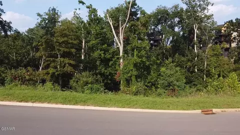 143 Reedmont Way, Sevierville, TN 37876
