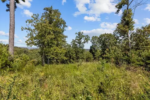90 Float Dr, Waverly, TN 37185 photo 32
