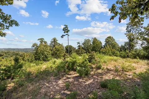 90 Float Dr, Waverly, TN 37185 photo 7