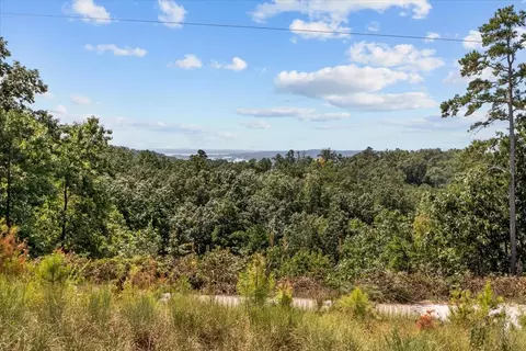 90 Float Dr, Waverly, TN 37185 photo 31