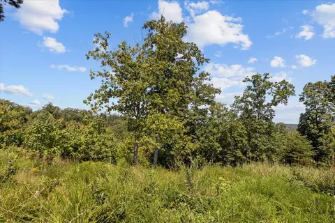 90 Float Dr, Waverly, TN 37185 photo 33