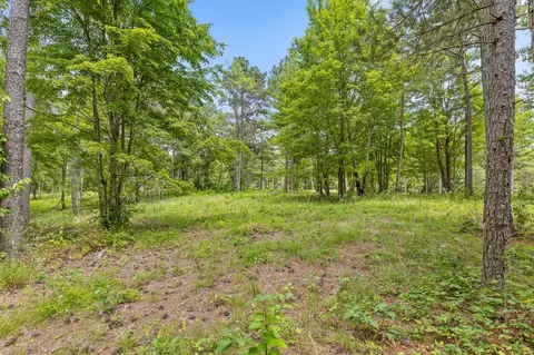 0 Treetop St, Guild, TN 37340 photo 17