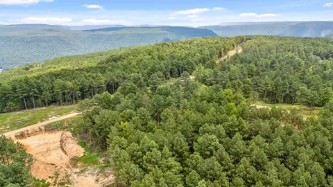 0 Treetop St, Guild, TN 37340 photo 26