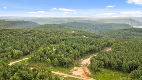 0 Treetop St, Guild, TN 37340 photo 25