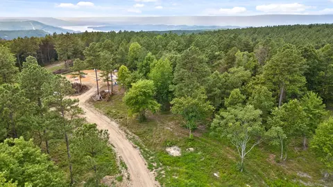 0 Treetop St, Guild, TN 37340 photo 5