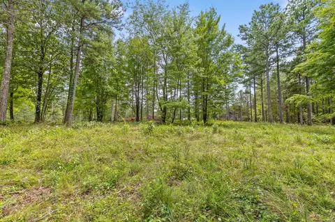 0 Treetop St, Guild, TN 37340 photo 15
