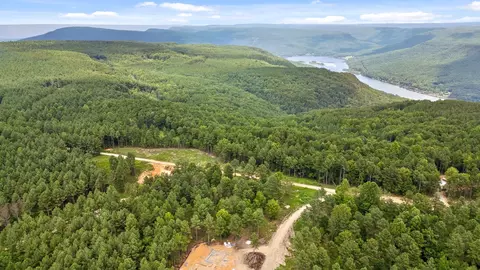 0 Treetop St, Guild, TN 37340 photo 11