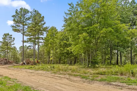 0 Treetop St, Guild, TN 37340 photo 8