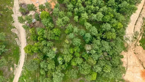 0 Treetop St, Guild, TN 37340 photo 22